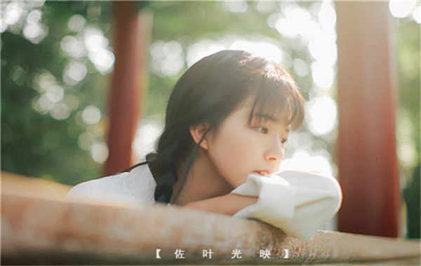 向阳胎儿性别鉴定需要多少钱(胎儿性别鉴定的方法)
